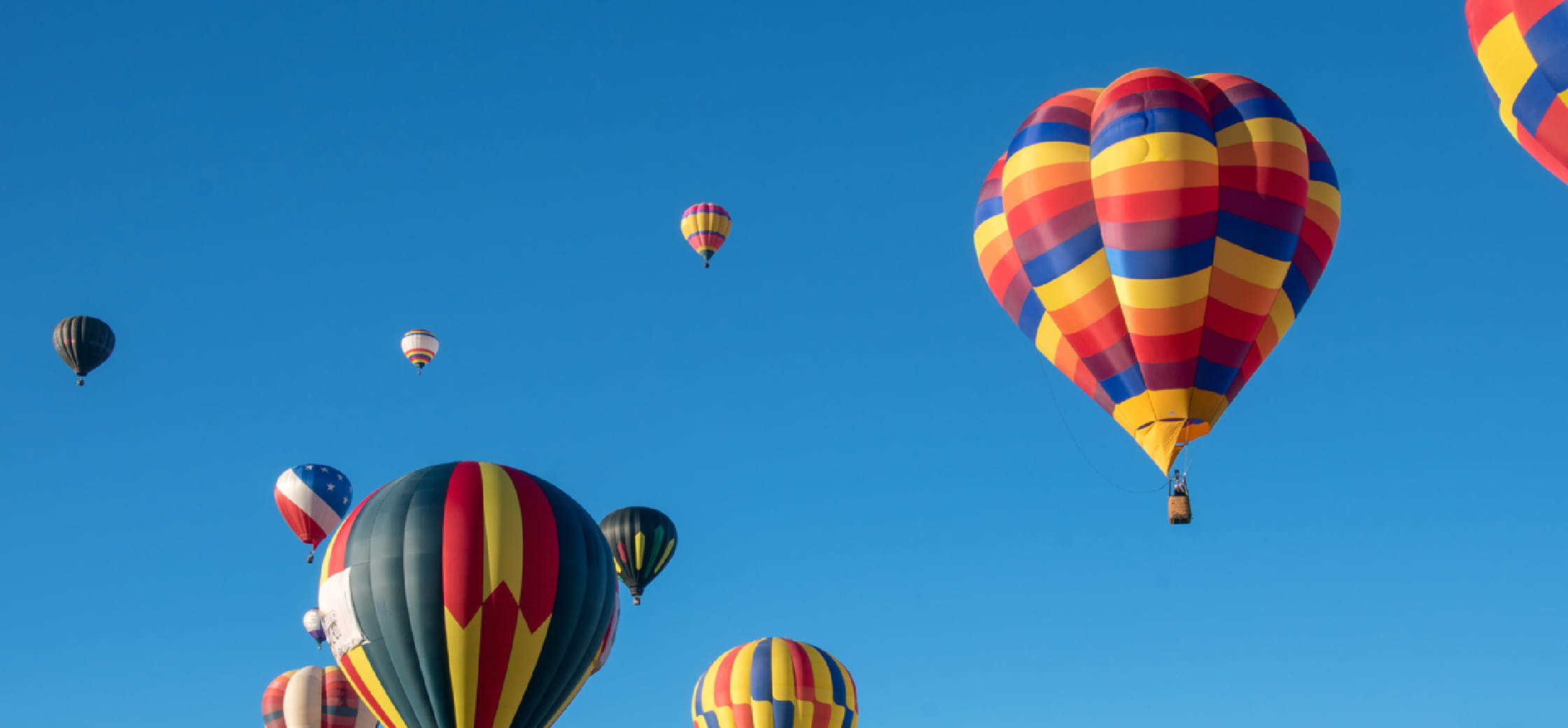 ダイバーシティへの取組み