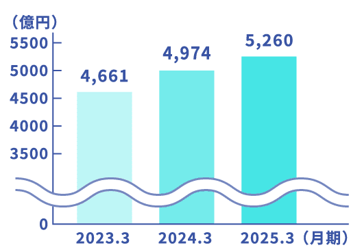 売上高（連結）