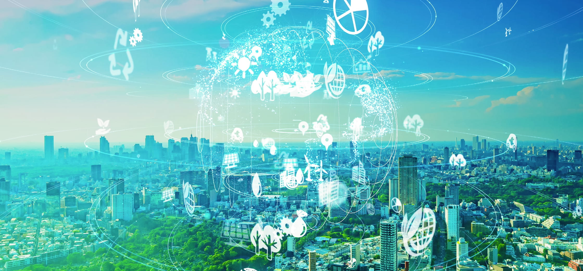 教育・研修制度